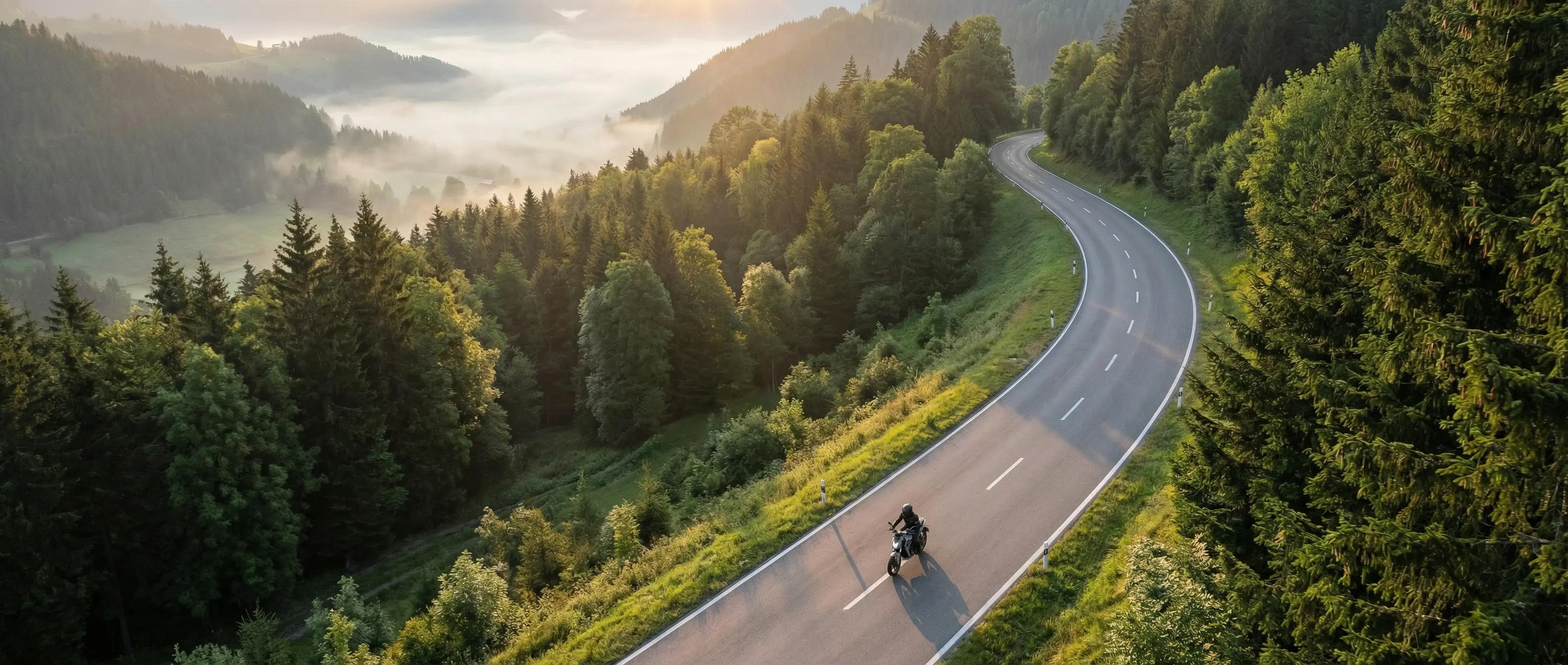 What drives us